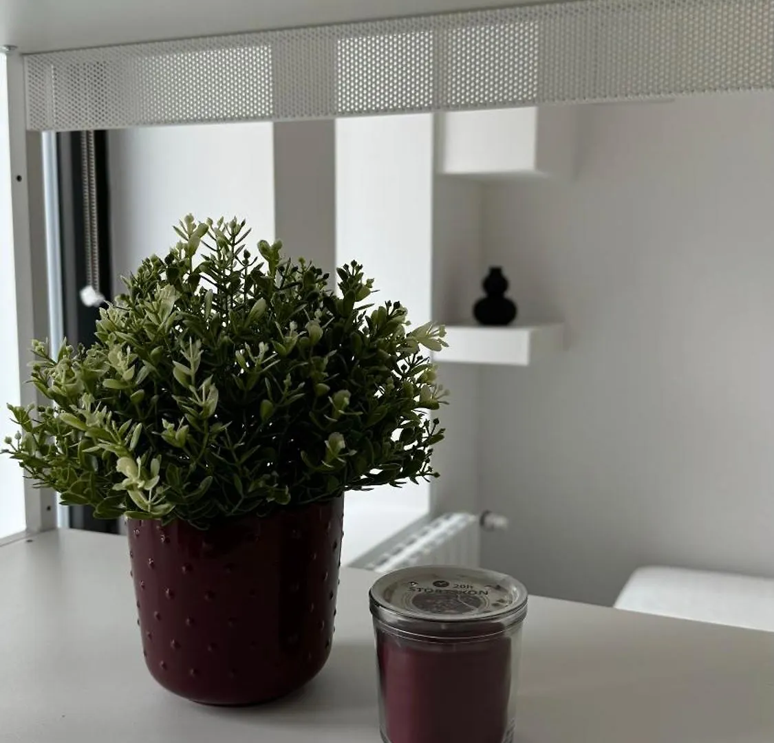 Business Apartment Milan